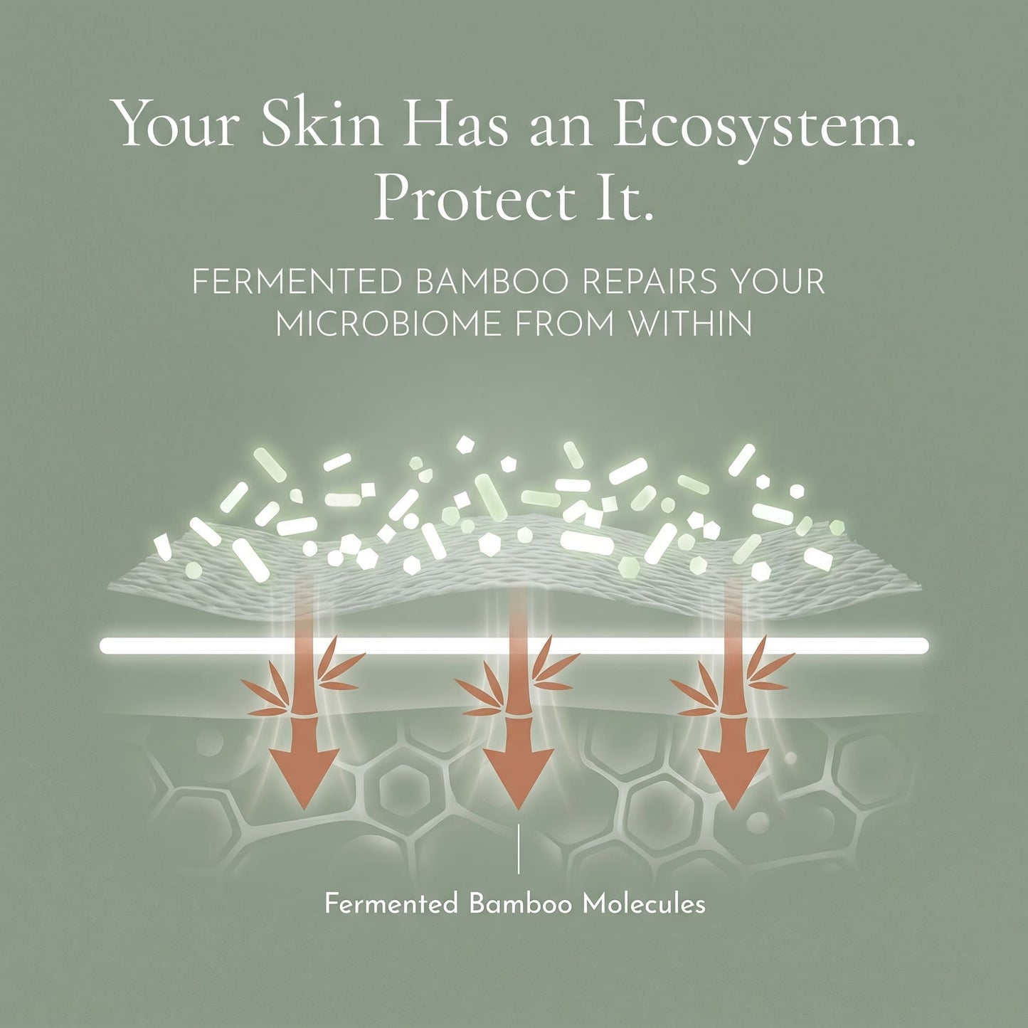 10% Niacinamide Serum