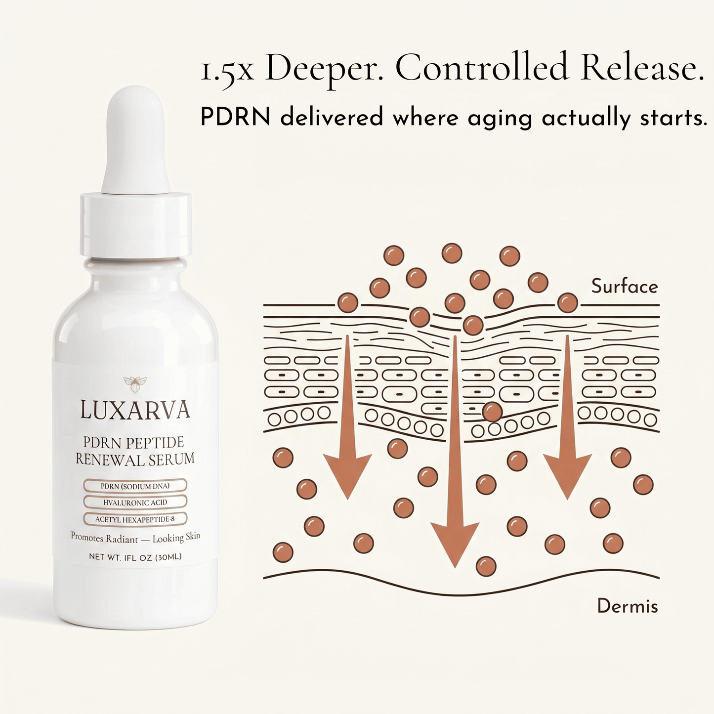 PDRN Peptide Renewal Serum