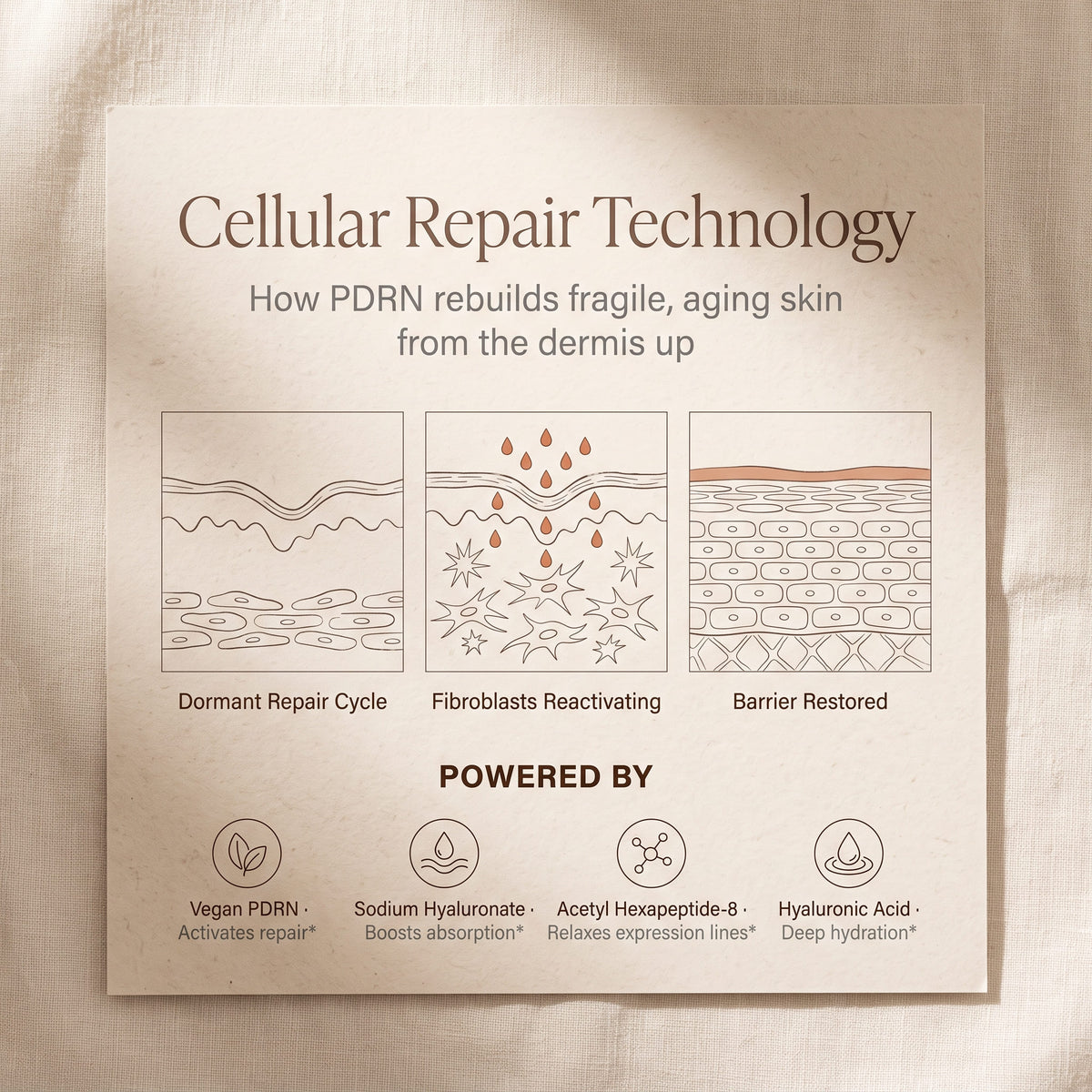 PDRN Peptide Renewal Serum